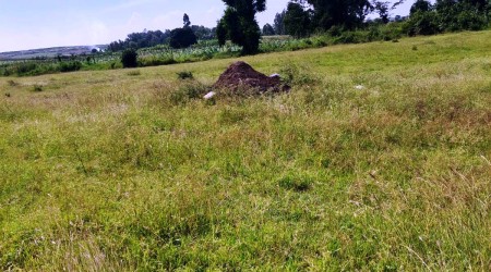 50-Acre Prime Development Land for Sale | Katani, Machakos County