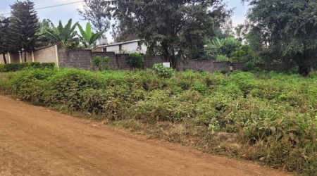 PRIME 3/4 ACRE PLOT FOR SALE IN THINDIGUA
