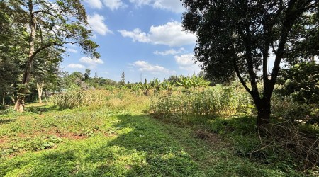 2.5 ACRE PRIME PLOT FOR SALE IN RIDGEWAYS