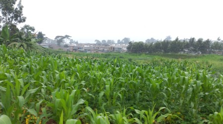 5 ACRE PRIME BLOCK OF LAND FOR SALE