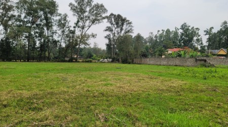 1/2 ACRE PRIME PLO AVAILABLE FOR SALE IN GARDEN ESTATE