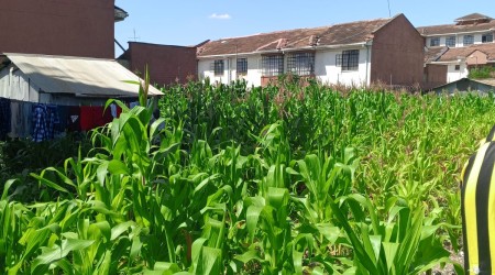 5 acres for sale in South B