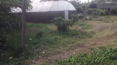 3 acres in Riara Ridge for sale