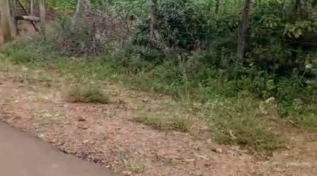 2 acres in Ndeiya for sale