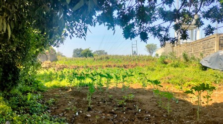 1/2 an acre for sale Riara ridge (negotiable)