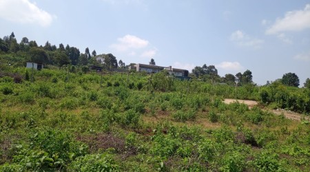1/2 an acre in Tigoni for sale
