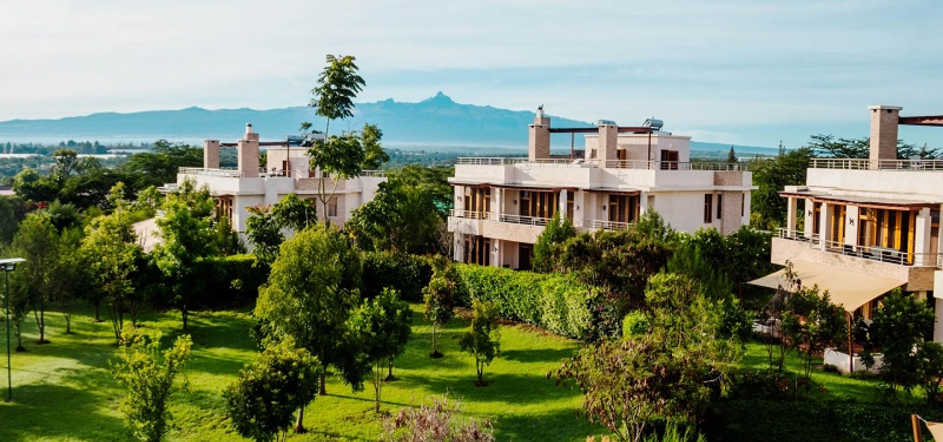 Stable Merchants - Hero Background